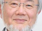 Post 2016 Renew Your Body: Fasting Autophagy