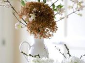 Vase Monday Forced Blossom
