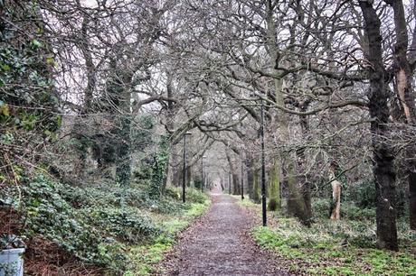 Big Walk Wednesday: #EastFinchley #N2 to #CrystalPalacePark #SE19 - Part Two of Two