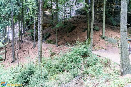 hiking path in Bohemian Switzerland