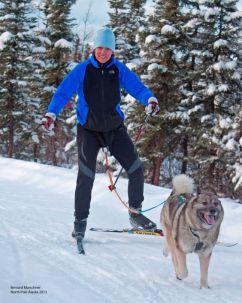 Why Getting Active With Your Dog Will Change Your Life