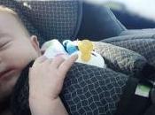 Distractionless Driving with Children Dogs