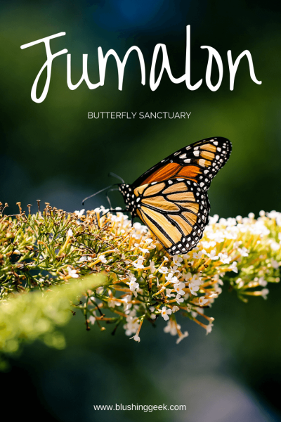 Jumalon Butterfly Sanctuary and Art Gallery