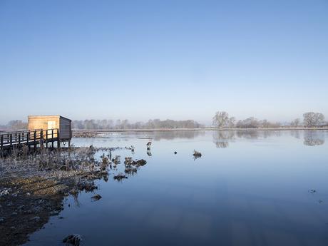 Brilliant Blues - The Viaduct Hide at the Floodplain Forest Nature Reserve