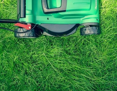 Spring Is On Its Way: How To Start Prepping your Lawn For The Heat