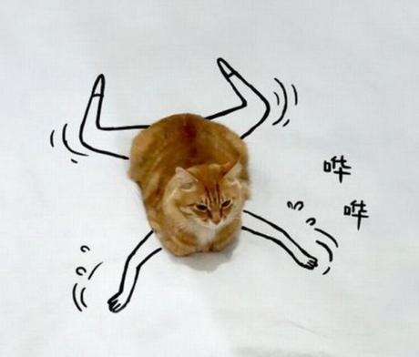 Cat Doodle Art