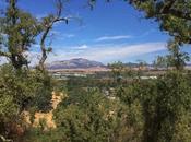 View from Hill iPhone Photos)