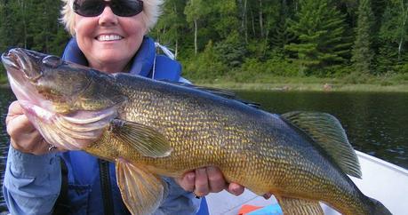 how-to-catch-walleye-fishing-tips-and-tactics