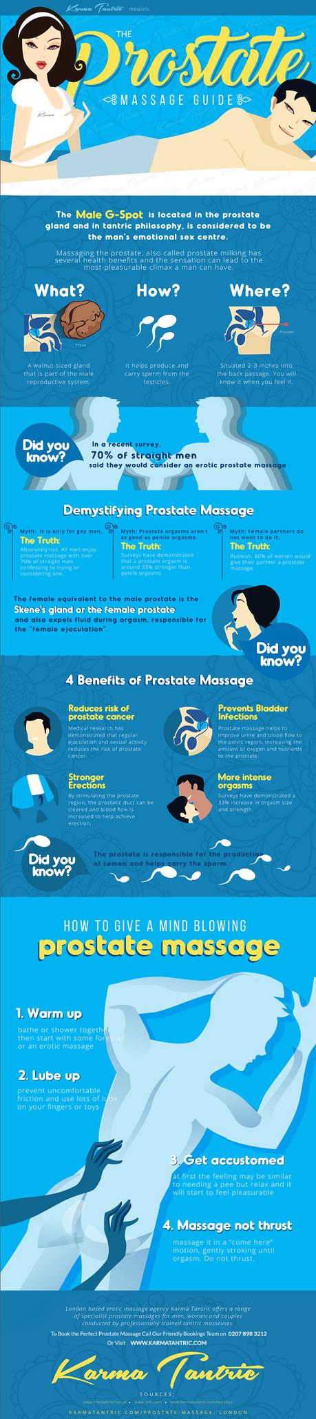 The Ultimate Prostate Massage Guide Infographic Paperblog