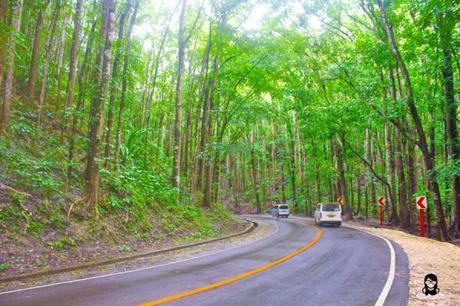 JaVaMay Travel Series: Bohol, Philippines