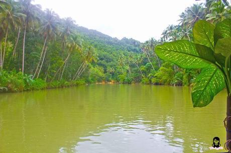 JaVaMay Travel Series: Bohol, Philippines