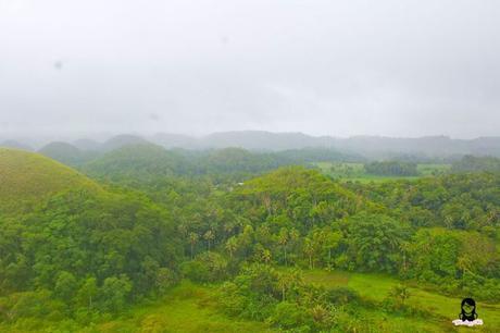 JaVaMay Travel Series: Bohol, Philippines