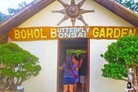 JaVaMay Travel Series: Bohol, Philippines