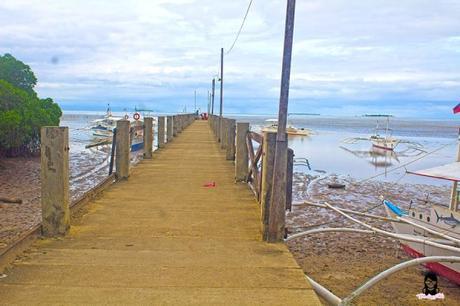 JaVaMay Travel Series: Bohol, Philippines