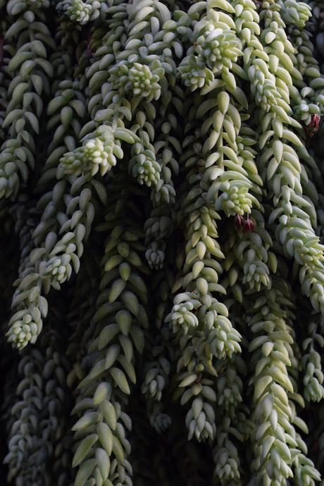 Don’t be a prick Don’t be a prick