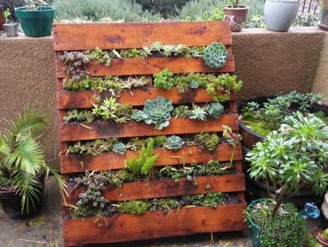 Old Wooden Pallet Transformed Into a Vertical Succulent Planter