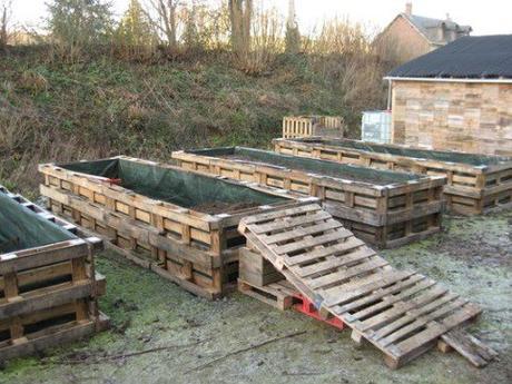 Old Wooden Pallet Transformed Into a Raised Garden