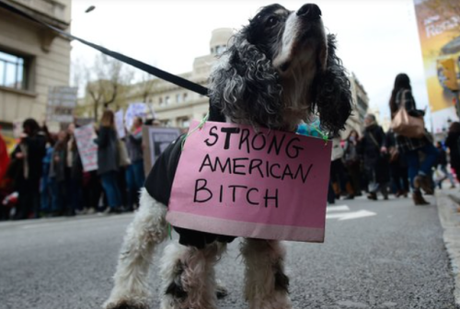 Woof For Equality