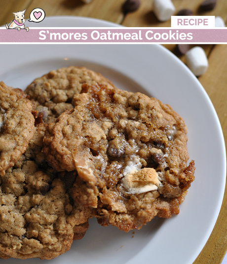 smores oatmeal cookie recipe