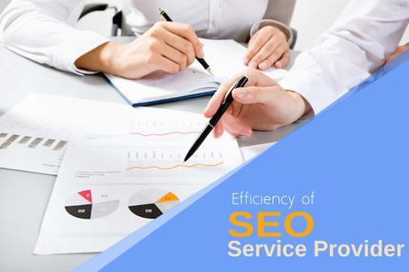 Find Efficiency of Your SEO Service Provider