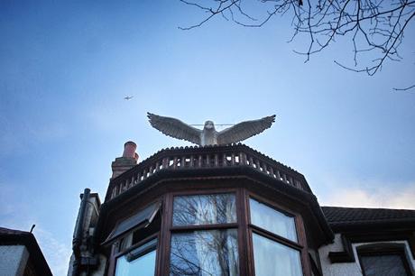 Big Walk Wednesday. #EastFinchley #N2 to #Richmond Part One