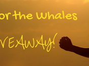 Join Walk Whales