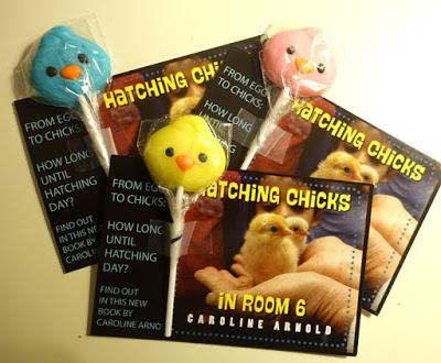 PUBLICATION PARTY AT HAYNES SCHOOL for Hatching Chicks in Room 6