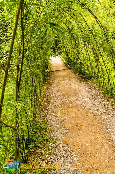Blarney Castle garden path