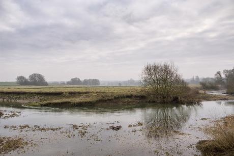 River Great Ouse by New Bradwell 