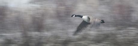 Frosts, Mists and Frozen Lakes