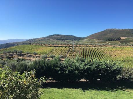 Guest Wine Writer Series | № 11 | Susannah Gold | Falling in Love with The Douro Guest Wine Writer Series | № 11 | Susannah Gold | Falling in Love with The Douro