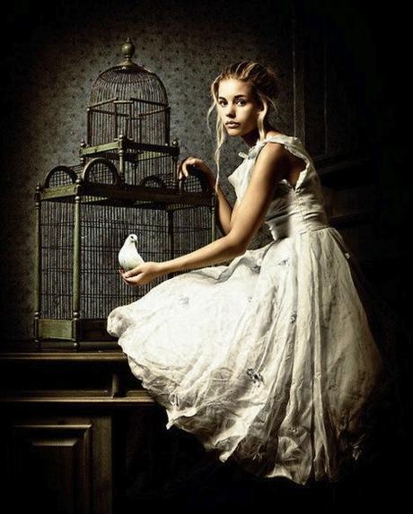 Haiku Friday – Gold & Sing bird-cage-poetry-haiku-Friday-The Writer Next Door-Vashti Q