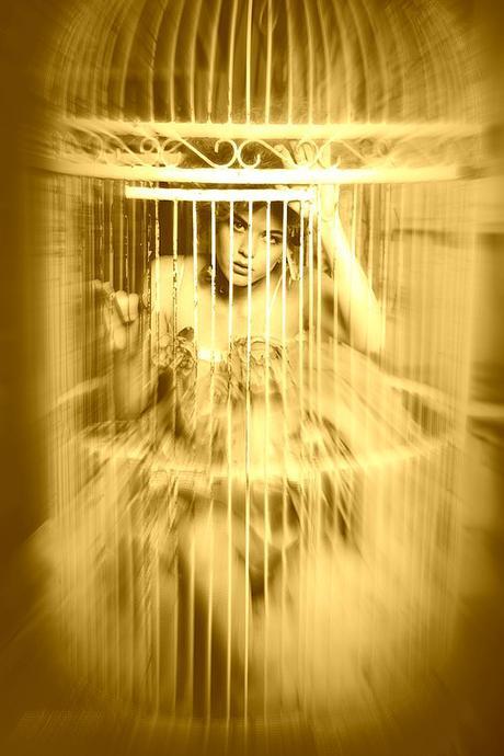 Haiku Friday – Gold & Sing gilded-cage-Haiku-Friday-Poetry-The Writer Next Door-Vashti Q