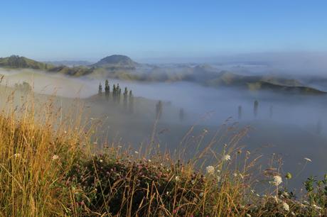 Green Furry Hills and the Forgotten Highway: NZ Honeymoon