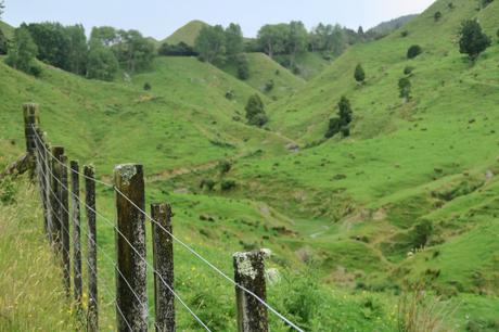 Green Furry Hills and the Forgotten Highway: NZ Honeymoon
