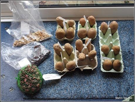 Stocking up with seeds
