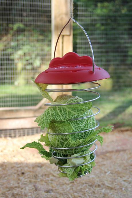 Feathers and Beaky Expandable Veg Holder Product Review