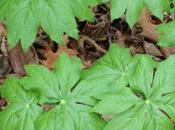 Seven Personal Finance Principles Teach Your Children