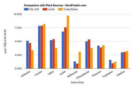 Turkey, Soy and Lentil Protein Comparison