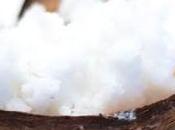 Discover Coconut Helps Lose Weight
