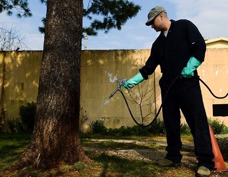 Here is Everything You Need to Know About Affordable Pest Control