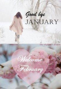 January Review January Review