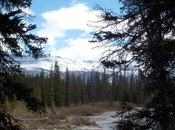 Wonderlusting Around World