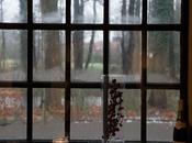 Condensation Causations: Keep Your House Windows from Icing