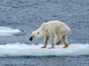 Feed Perish Iceless World