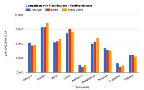 Kidney Bean Lentil and Soy Protein Comparison