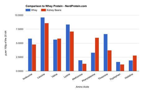 Kidney Bean and Whey Protein Comparison