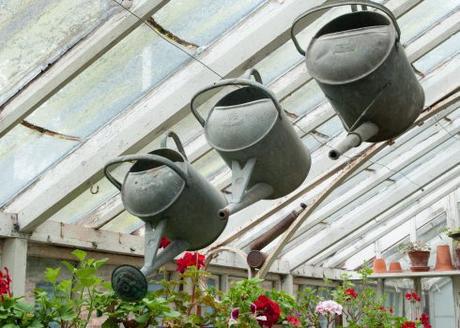 Bryan’s Ground Bryan’s Ground