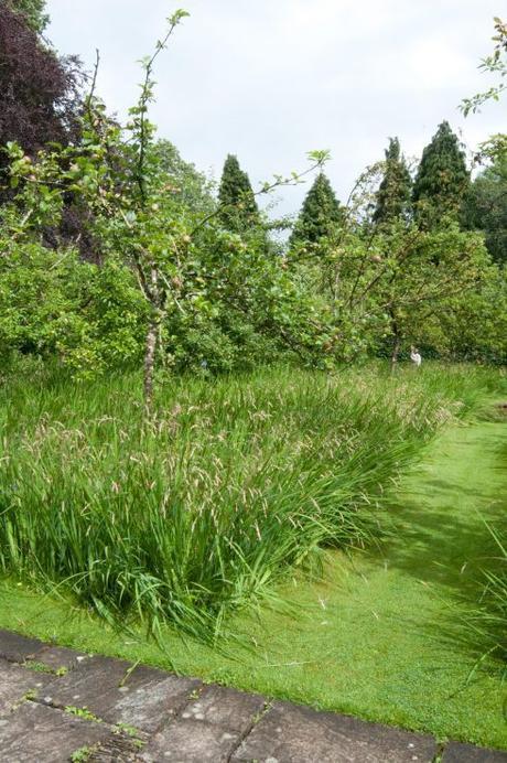 Bryan’s Ground Bryan’s Ground