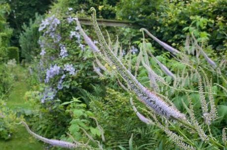 Bryan’s Ground Bryan’s Ground